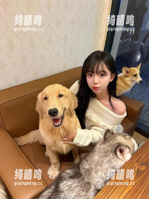 网址旁观：来吧，51在线吃瓜的我，准备好迎接狂欢！