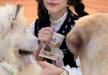 吃瓜网早晨免费供瓜，是否得先靠朝阳唤醒疯狂的瓜友们？