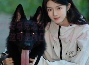 安卓党怎么能不关注吃瓜网t7wcc？这可是风口浪尖上的聚会呢