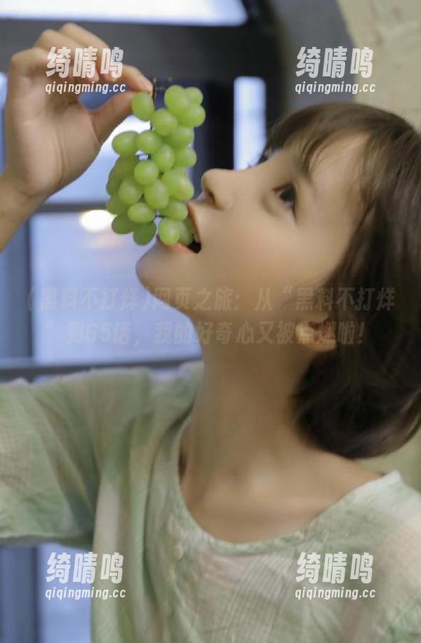 网页之旅：从“黑料不打烊”到65话，我的好奇心又被点燃啦！