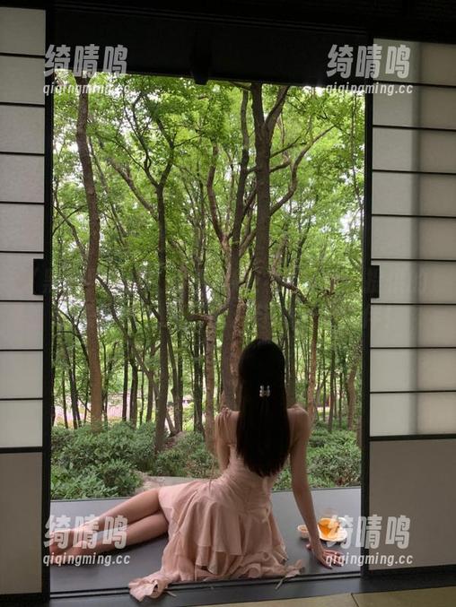 从此不迷路！黑料网曝提供的吃瓜导航，是我追八卦的最好伙伴！